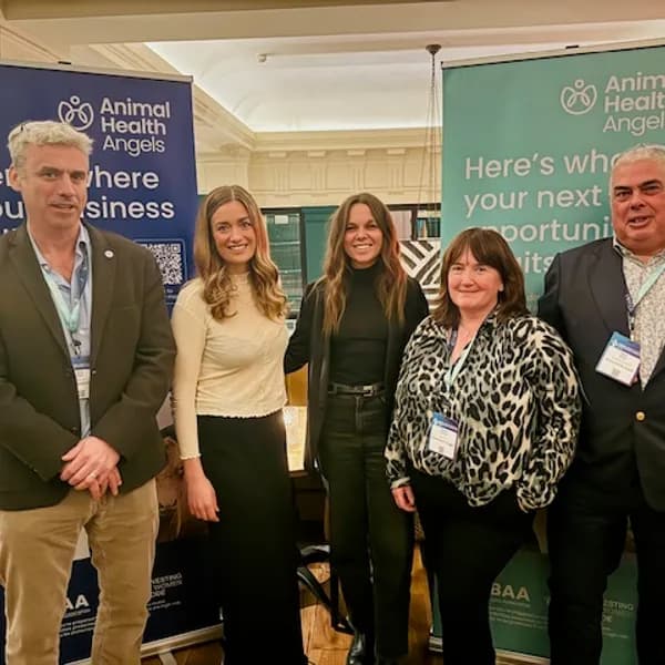 Animal Health Angels photo