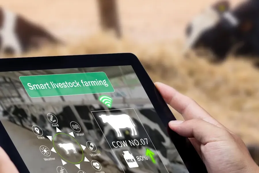 digital livestock farming